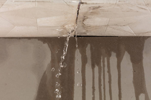 Professional Flood Damage Cleanup technician working in Verona, VA